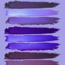 collection-Violette-01